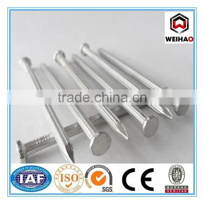 Good quality manufacture in China concrete kg nails 1 inch 2 inch