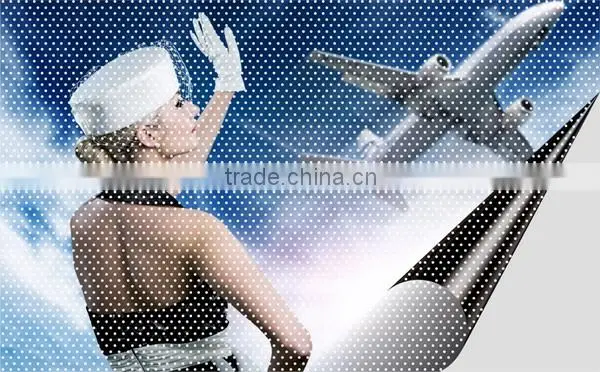 One way vision film for windows,perforated vinyl film D-0122
