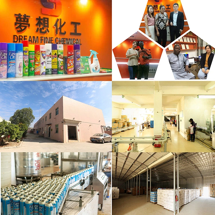 Guangdong Dream Fine Daily Chemical Co,.Ltd company overview - view 1
