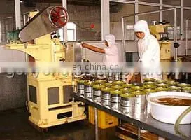 full automatic complete canned fruit food Canning /canning processing machine/line/equipment