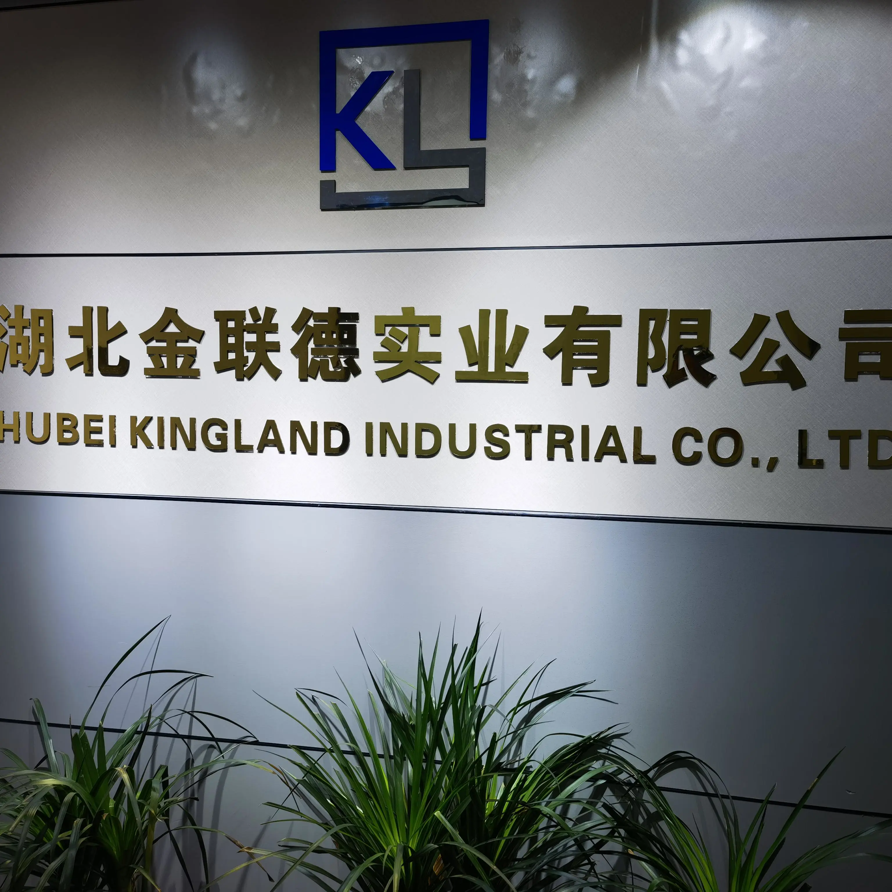 Hubei Kingland Industrial Co., Ltd. company overview - view 1