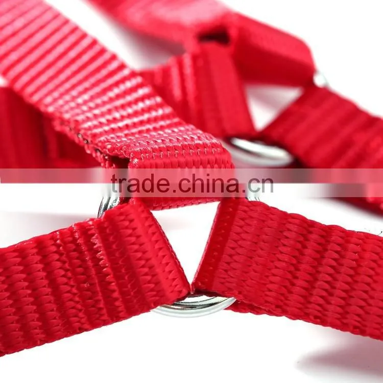 Wholesale new fluorescent color chest straps High quality nylon pet harness leash