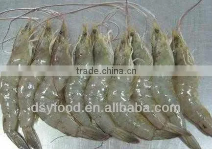 frozen vannamei shrimp