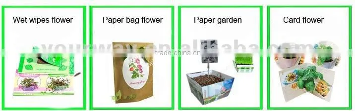 Wooden box mini plant