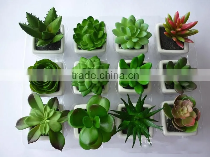 Home Decoration Use NEW Mini Novel Ceramic Porcelain Bonsai Grass Doll Hair Plant Head Planter Gift