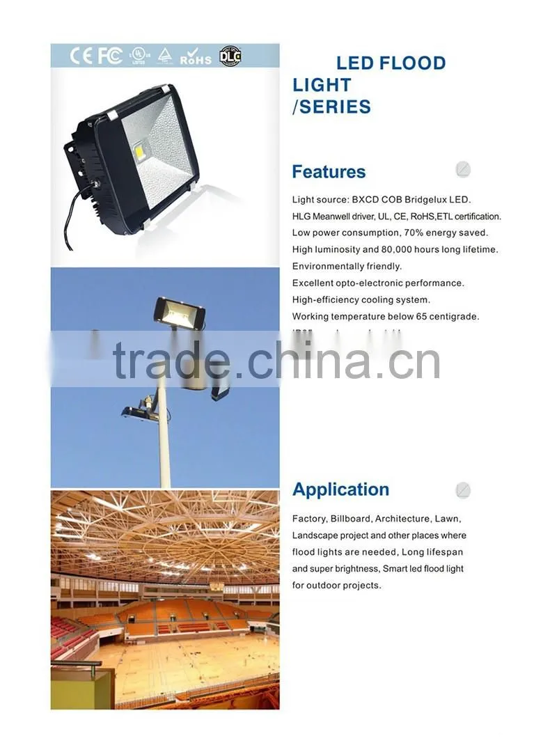 50000h lifetime LED flood lighting with IP65 outdoors