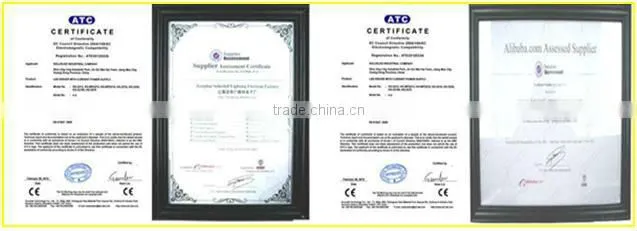 HG-PC2232-7953 LED driver lamps driver 1*1W