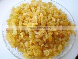 dried green raisin