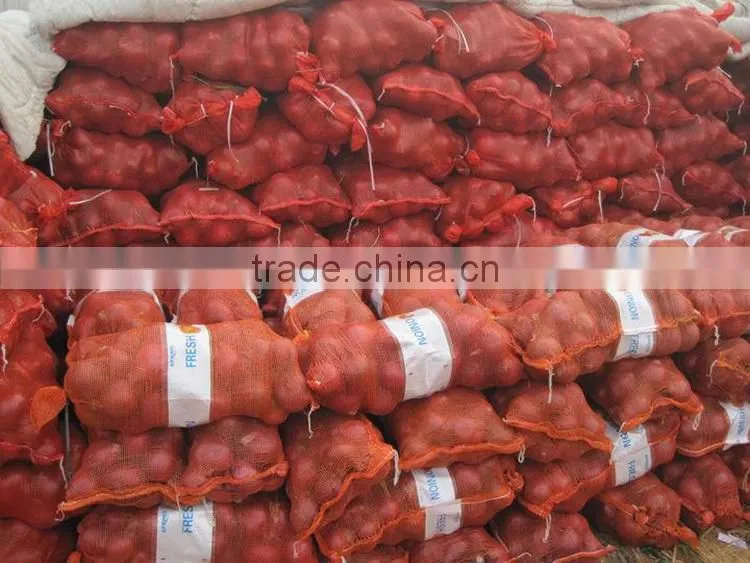 superior fresh red onion from onion exporters China