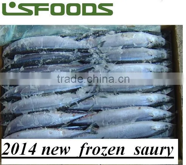 2014 new coming Frozen pacific saury from China