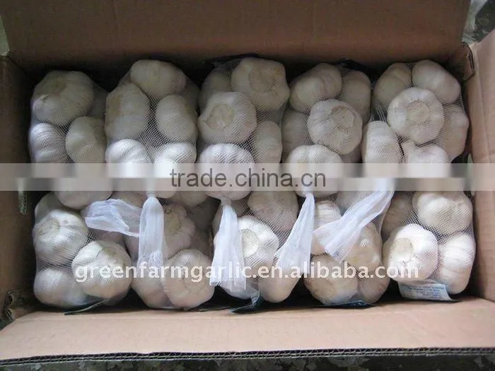 3p/500g/1kg normal white garlic