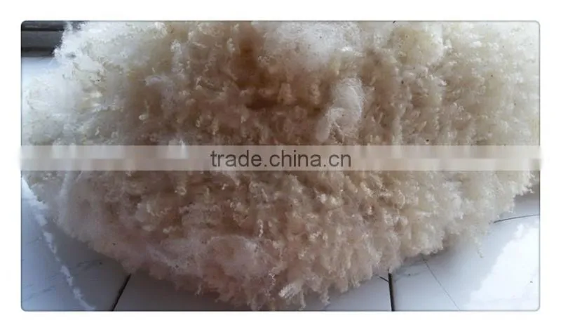 Australia clipped greasy raw wool