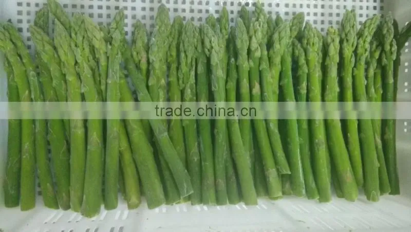New crop IQF Frozen green asparagus-dia 10-16mm