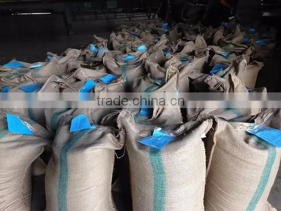 Manufacturer of Vietnam Wet Polished Robusta Green Coffee Beans Screen 18