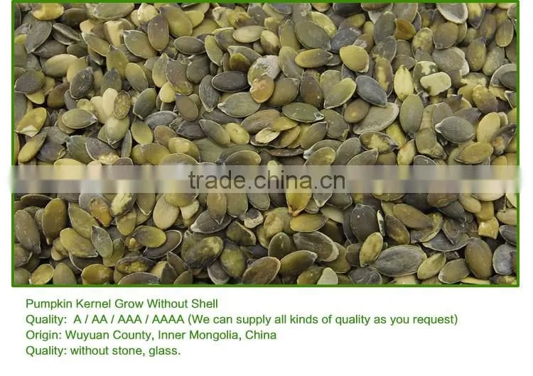 Sell Shine Skin Pumpkin Seeds Kernels and GWS pumpkin seeds Kernels and GWS pumpkin seeds