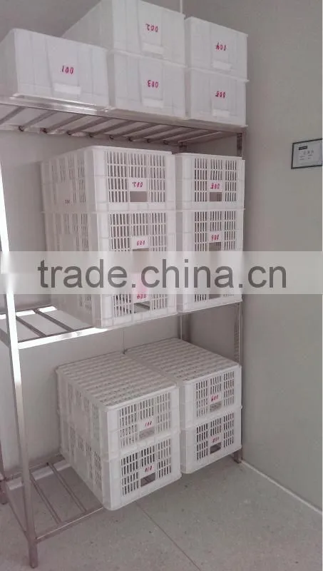 olibanum extract