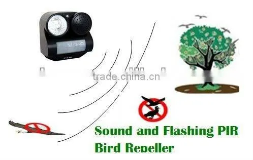 ultrasonic control bird