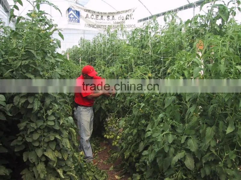 Climbing plant support trellis netting