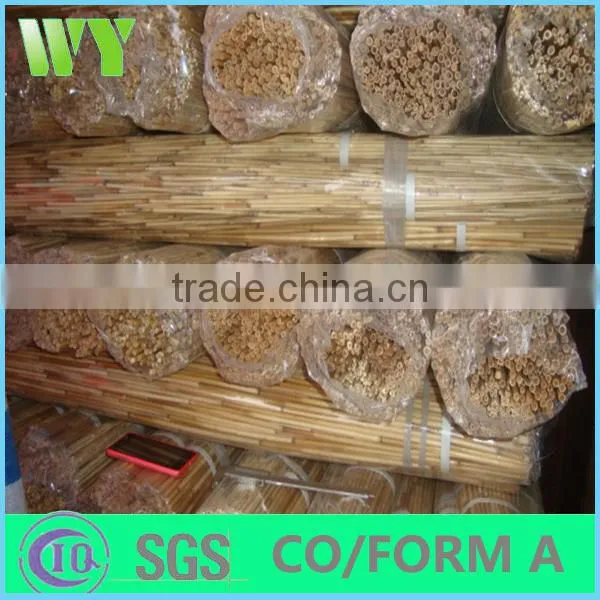 natural reed poles
