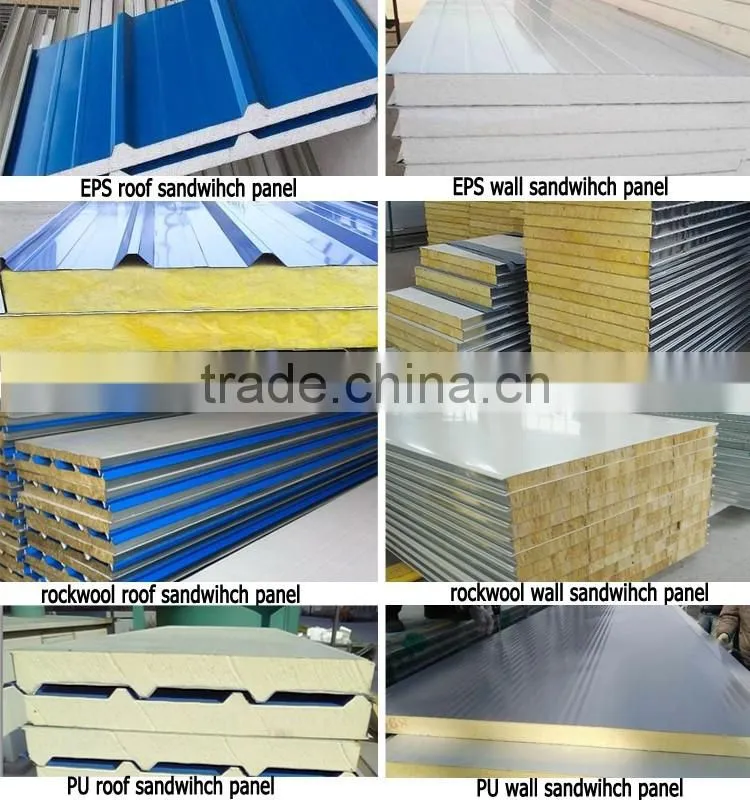 China Poultry Chicken Egg Poultry Farm