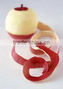 hot sale apple pelling machine with high efficiency