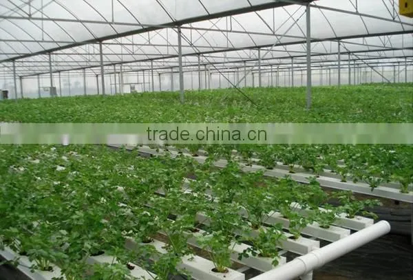 NFT System For Hydroponic Vegetables