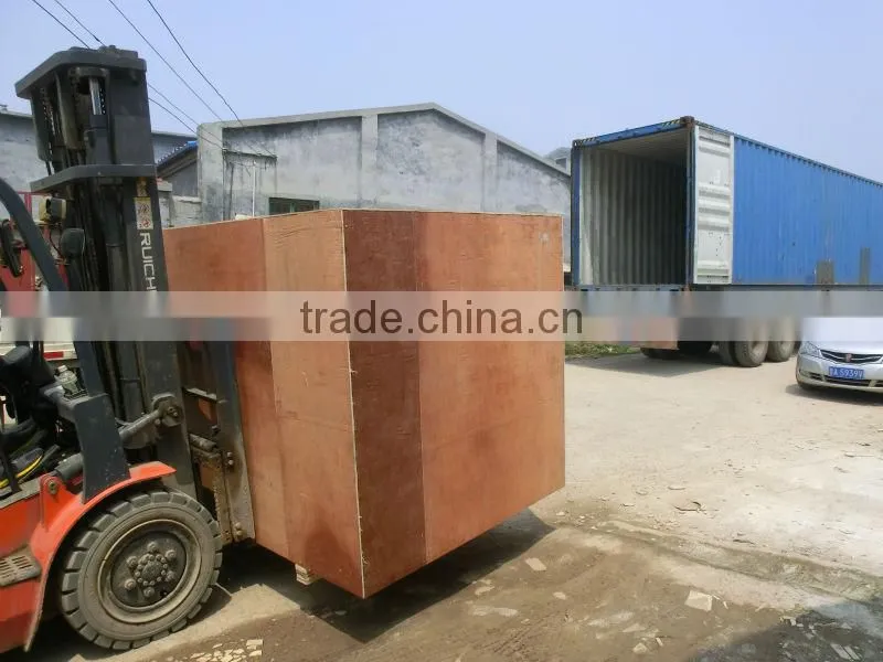automatic macaroni pasta making machine production line