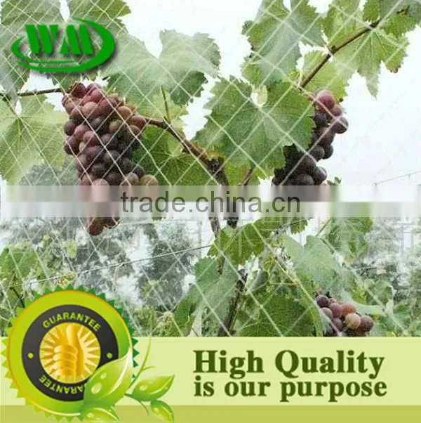 2014 hot sale hdpe bird capture net