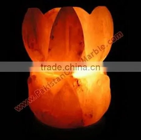 WholeSale 2017 New Design CRAFTED CRYSTAL SALT LAMPS