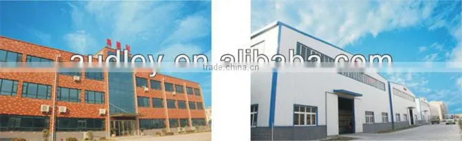 Famous digital stamping machine to print on the PVC card-ADL-3050A