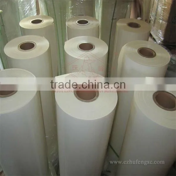6021 milky white mylar PET film