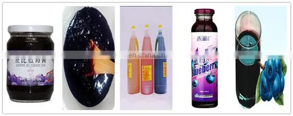 High Quality Fruit Jam Production Line In Shanghai