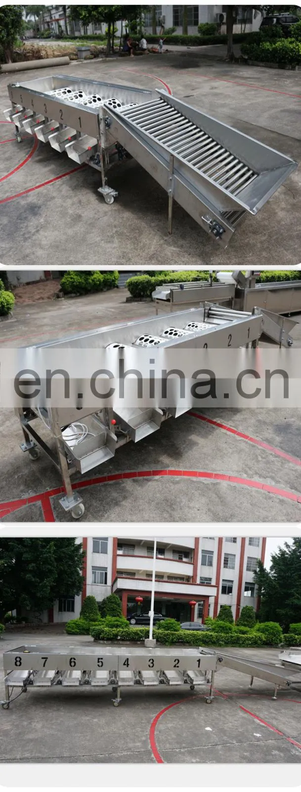 Fruit and vegetable sorting machine fruit size sorting machine apple grading machine