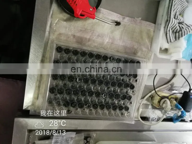 Common rail injector control valve CAT 32F61-00062