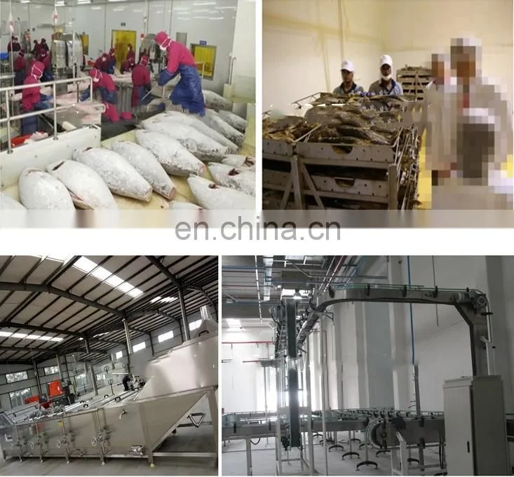 Genyond Shanghai Factory Automatic fish canning machine /canned tuna in oil canning plant production line