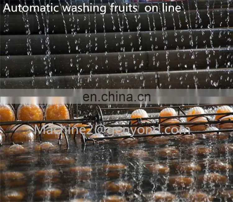 Design drying production line for fruit of factory price