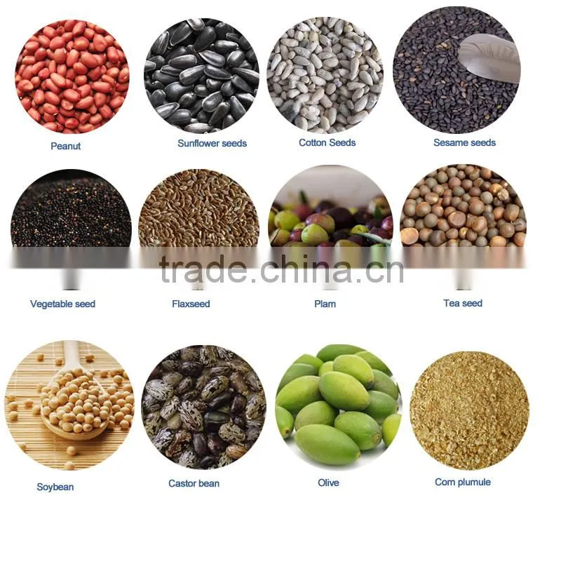 Avocado oil making machine / oil press machine