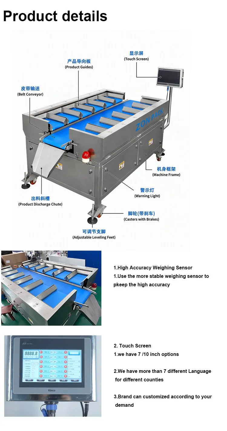 皮带秤.jpg.webp
