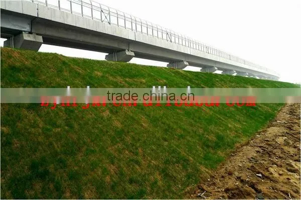 China hydroseeding for planting grass engineering