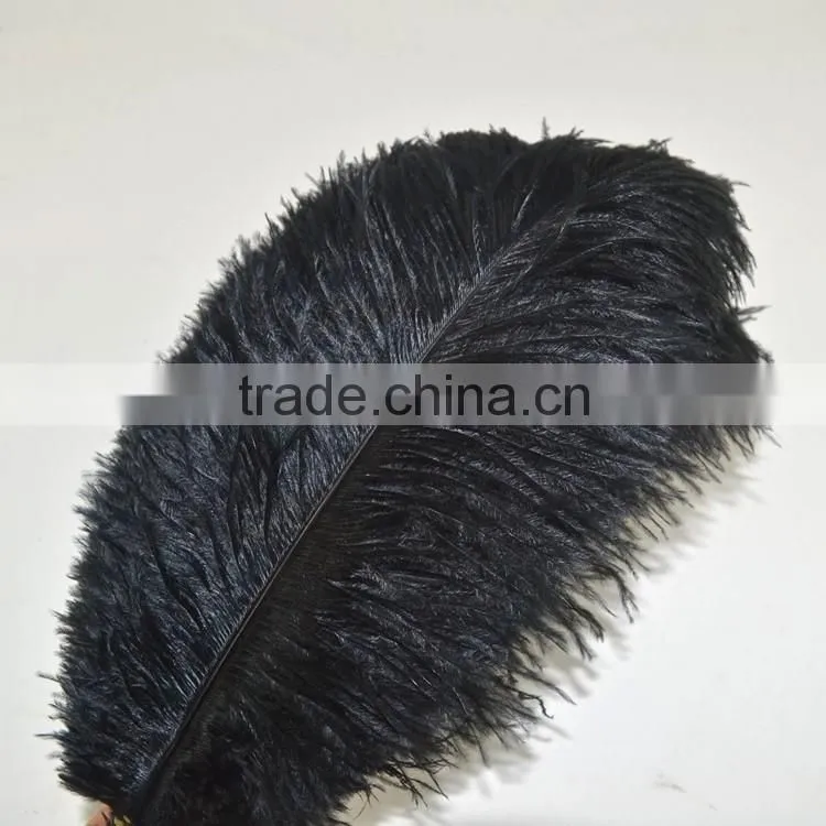 colors ostrich feathers plumes 15-75cm ostrich feathers trimming/piumages for all decor