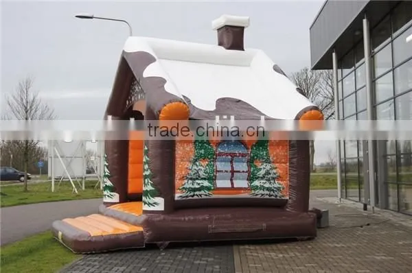 Bouncy castle with Winter theme