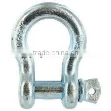 Screw Pin Anchor Shackle