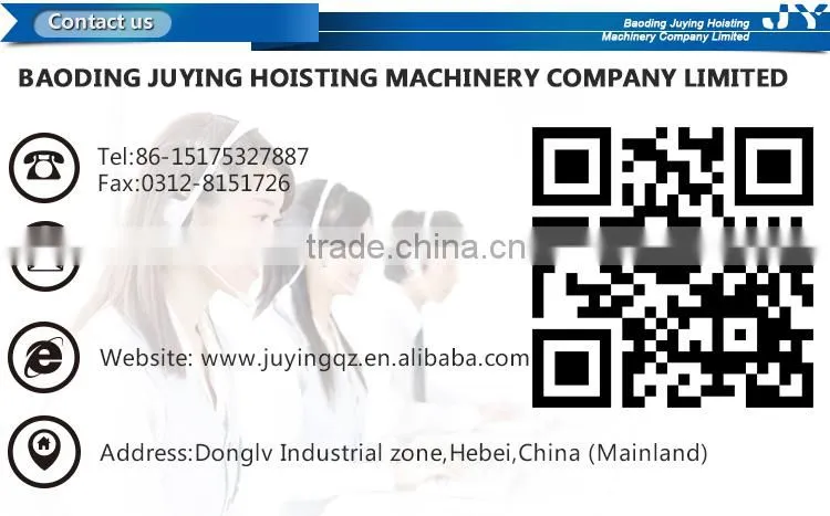hot sale 500kg-1000kg Wire Rope Electric Motor Hoist/Electric Winch
