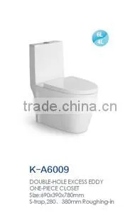 bathroom sanitary ware siphonic one piece wc spy toilet cam