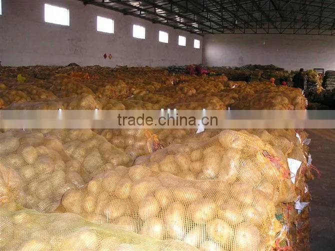 fresh potato from Chinese holland potato farms