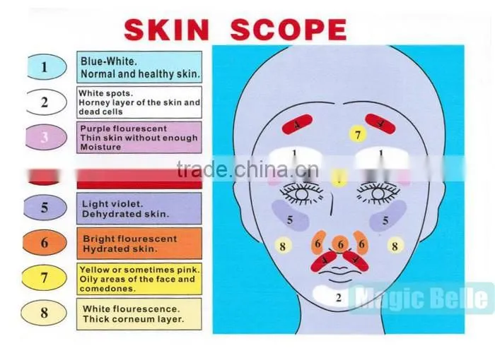 New product in 2016 Skin analyzer facial reveal facial scanner in China
