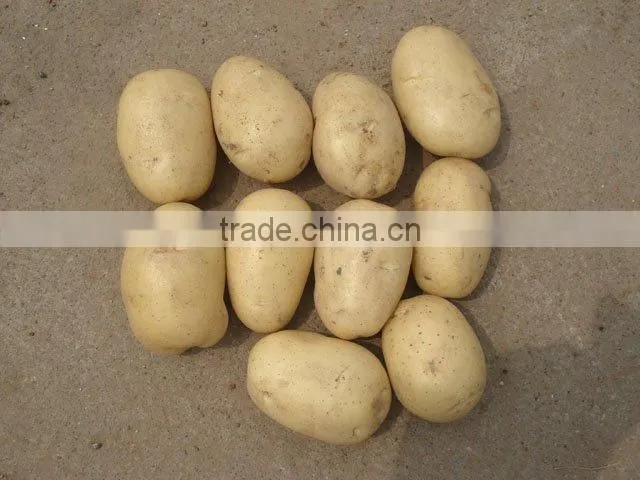 potato slicer
