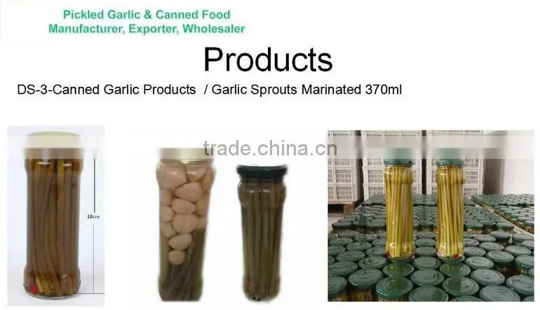 Good quality canned garlic sprouts marinated