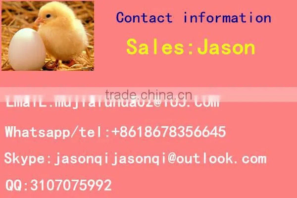 Incubator spare parts /incubator accessory /incubator components digital incubator controller for sale