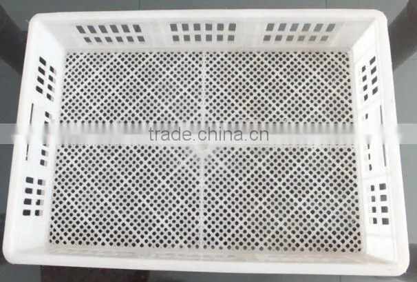 500pcs full automatic cheap commercial egg setter incubator hatcher